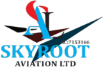 Skyrootaviationltd